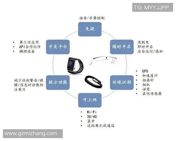 北京极限运动队的灵活性研究与发展趋势分析