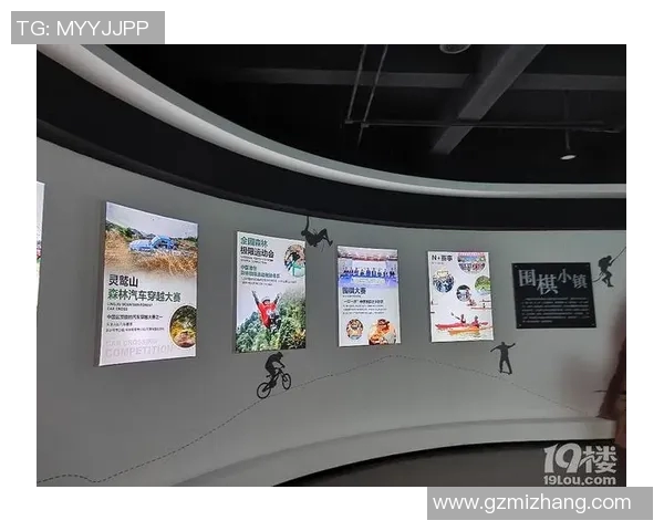 杭州极限运动队个人能力分析与发展潜力探讨