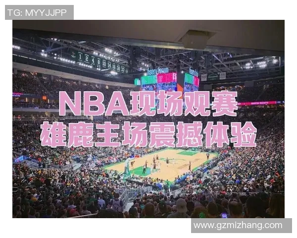 火箭队主场球馆设施介绍与观赛体验攻略