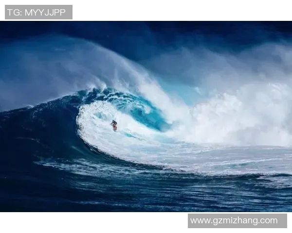 上海极限运动队实力飙升创造历史新高的力量排名分析